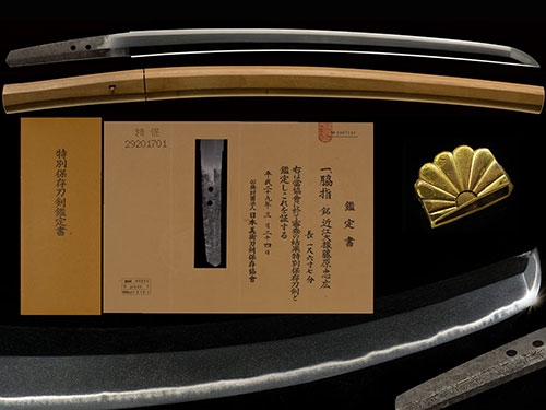 近江大掾藤原忠広 新刀上々作 足葉頻りに入る傑作 一尺六寸七分