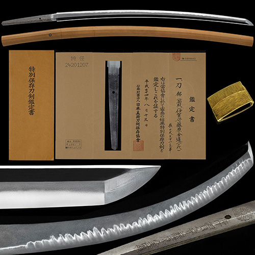 菊紋 伊賀守藤原金道 二代 延宝頃 冴えた地鉄に華やかな丁子刃足葉頻りに入り沸筋掛る優品 二尺三寸一分