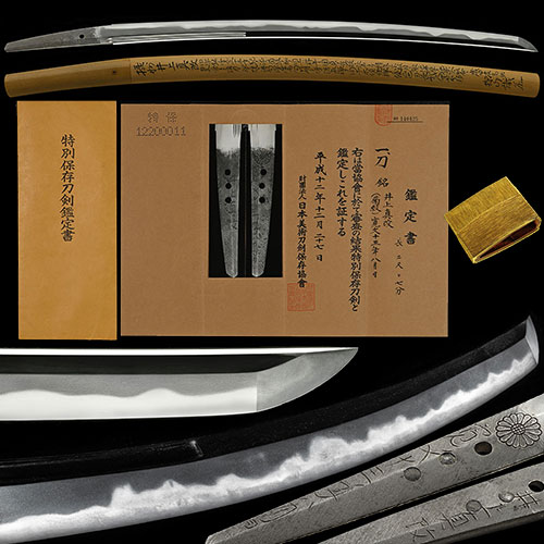 刀 井上真改 菊紋 寛文十三年八月日 華やかに乱れ沸匂深く地刃冴え渡る傑作 二尺七分